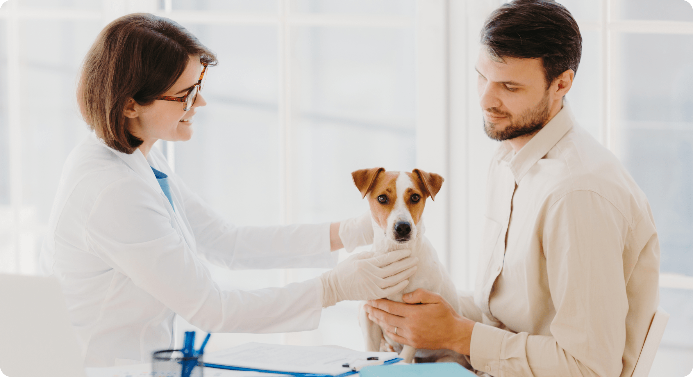 veterinarians hero