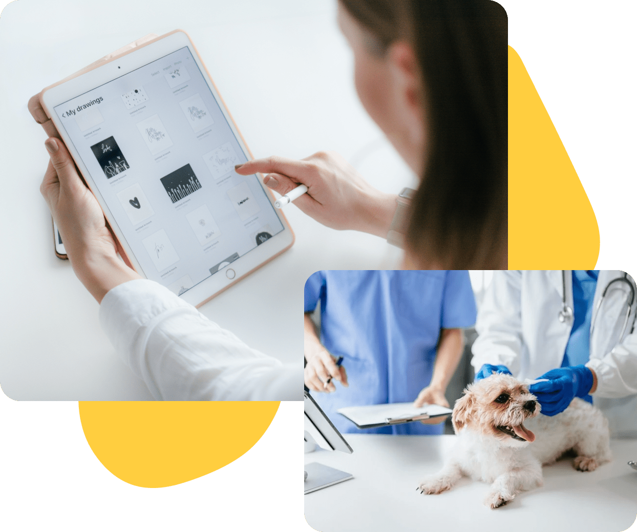 Tablet with vet practices app